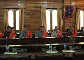 Government reluctant to sell some  state-owned enterprises’ shares