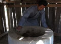 More people showing interest in biogas plant