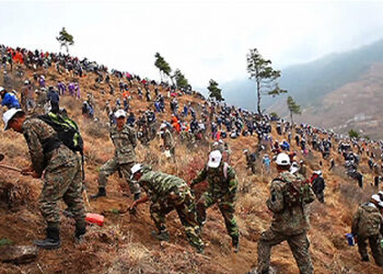 Bhutanese plant 108,000 saplings in dedication of the first royal child the Gyalsey
