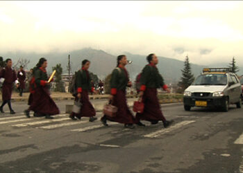 Use zebra crossings or get penalised starting October this year