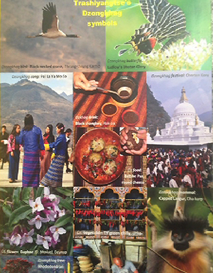 Branding_Yangtse