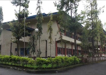 Girl dies of mushroom poisoning