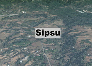 Gup imprisoned for official misconduct