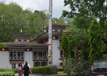 Is our law criminalising youth?