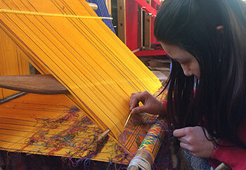 Patterns of popularity