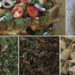 Disappearing Bhutanese cuisines