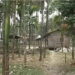 Landowners throng thomde office for construction approval