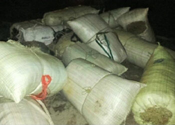 Man caught for possessing 17 sacks of dried Marijuana