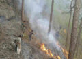 Rain helps contain fire