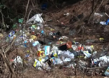 State Reserve forests severely polluted