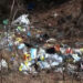State Reserve forests severely polluted