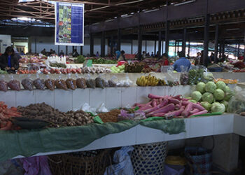 Chemical content in locally-produced vegetables low