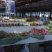 Chemical content in locally-produced vegetables low
