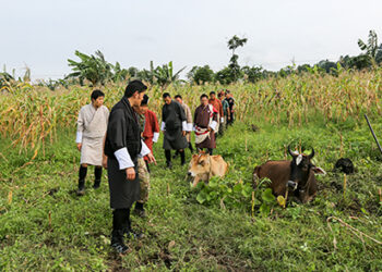 His Majesty visits recently rehabilitated village