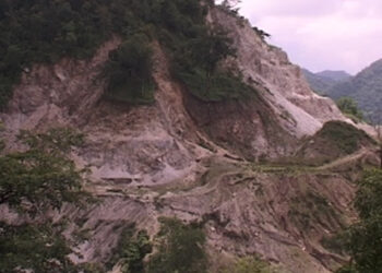 Mining sector contributes the least to GDP