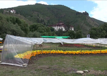 Royal Bhutan Flower Exhibition to start from June 4