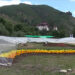 Royal Bhutan Flower Exhibition to start from June 4
