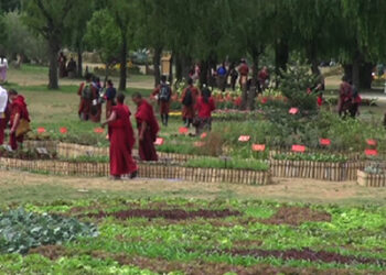 Thousands visit Royal Bhutan Flower Exhibition