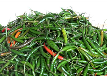 Import of chillies banned