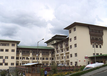 Five admitted for mushroom poisoning