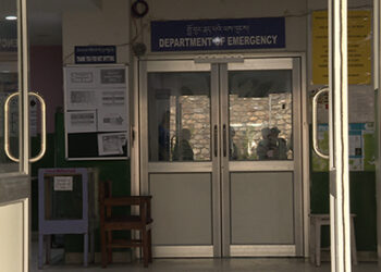 Woman admitted after pack of dogs attack her