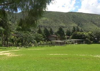 Bajo needs a college: locals