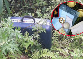 House in Paro burgled