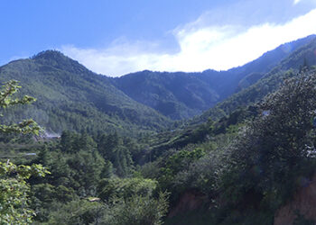 Implicated mining companies to appeal to the Supreme Court