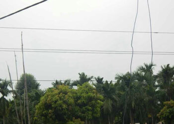 Two electrocuted in different incidences