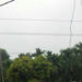 Two electrocuted in different incidences