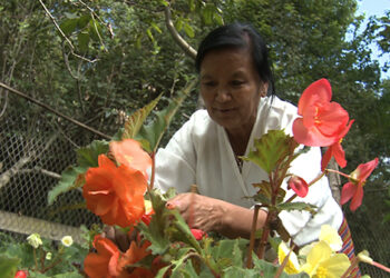 Award-winning ecologist’s mantra for success