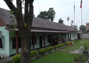 Man under custody for allegedly forging documents