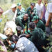 Two bears rescued and released
