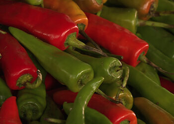 Agriculture department explores market to import chillies