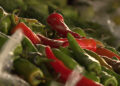 Chillies’ price hike impacts consumers