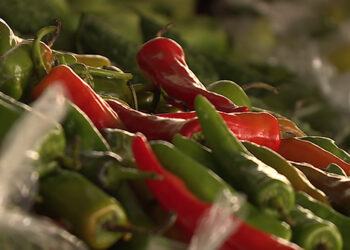 Chillies’ price hike impacts consumers