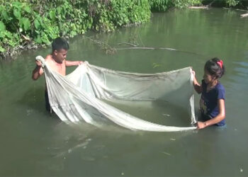 Fish farming proves successful in Monggar