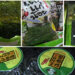 Import and sale of seaweed banned