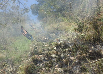 Monggar forest fire contained