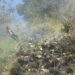 Monggar forest fire contained