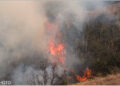 The focus is on better coordination and management of forest fire