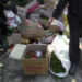 BAFRA disposes imported chilies and grocery