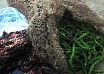 BAFRA seizes banned vegetables in Trashigang