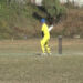 Cricket championship tournament underway