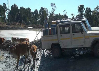 Distillery waste generating income in Gelegphu
