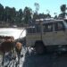 Distillery waste generating income in Gelegphu