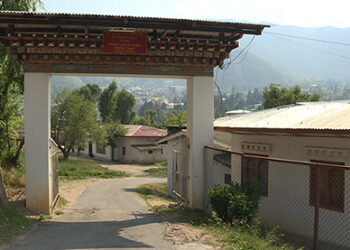 Four sentenced for voluntary manslaughter