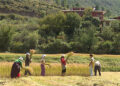 Farmers being trained to adapt to climate change