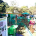 Farmers encouraged to adopt smart agriculture technologies