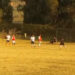 Shumar United wins the Intra-Gewog Football Tournament